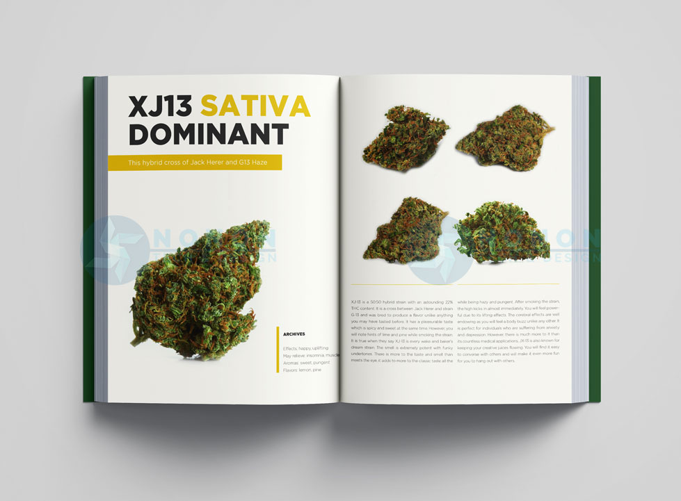 marijuana-book--(8)